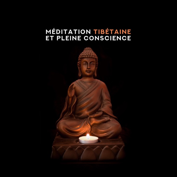 Méditation tibétaine et pleine conscience: Détendez-vous avec des bols chantants tibétains, Musique hypnotique pour l'esprit, l'esprit et le corps