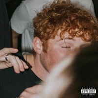 Charger - Single - Pelee Ashes