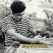 Po Pogisa artwork