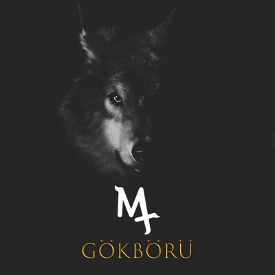 Gökbörü - Single