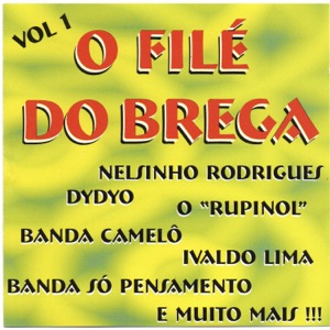 O Filé Do Brega - Prá Você - Line Dance Music