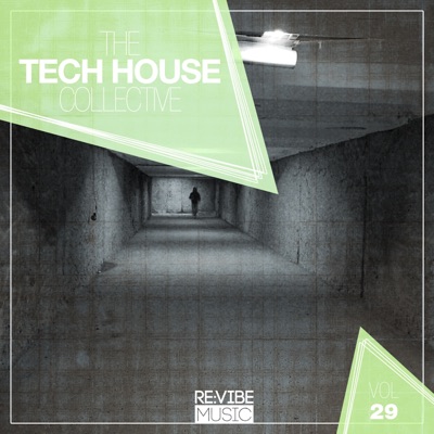 The Tech House Collective, Vol. 29