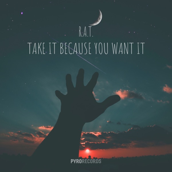 Take It Because You Want It - Single