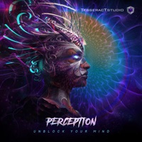 Unblock Your Mind - Single - Perception