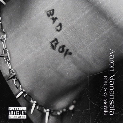 Bad Boy (feat. Sky Meraki) - Single