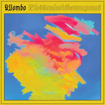 Blossomlooksdownuponus album cover