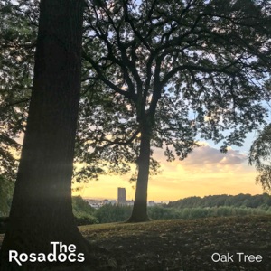 Oak Tree - Single