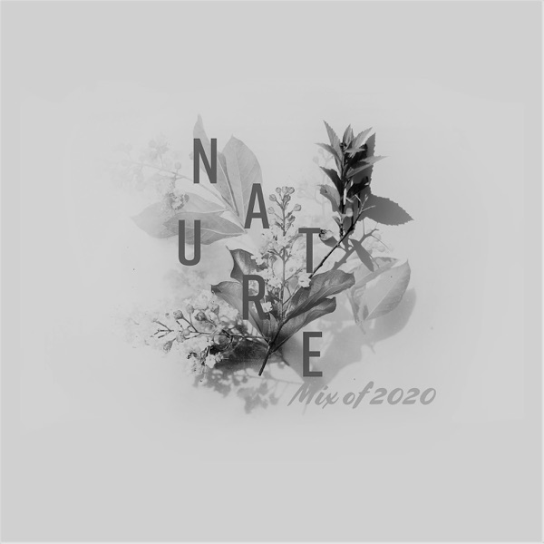 Nature Mix of 2020 for Meditation, Relaxation, Sleep, Spa and Study