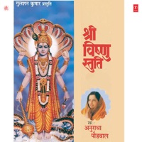Shree Vishnu Stuti - Anuradha Paudwal & Bhushan Dua
