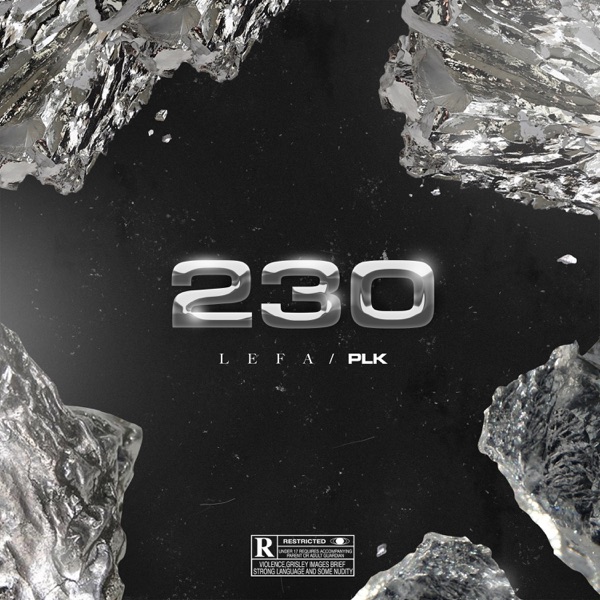 230 (feat. PLK) - Single - Lefa