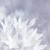 Clouds of Breath