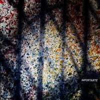 Importarte - Looppolo