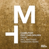 Freak (feat. Cari Golden) [Matthias Tanzmann Remix] artwork