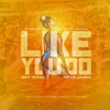 Like You Do (feat. Mitch Jame$) - Single