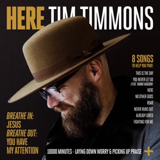 Tim Timmons You Never Let Go