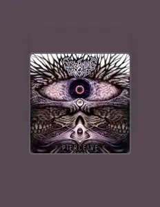 收听 Screaming Banshee、观看音乐视频、阅读小传、查看巡演日期等 ！