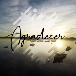 Agradecer (feat. Ana Colle & Mestizzu)