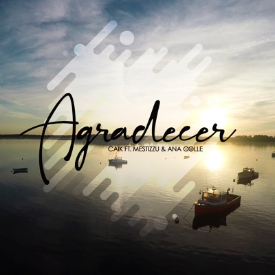 Agradecer (feat. Ana Colle & Mestizzu) - Single
