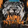 Still Young, Steve Hartz & Jess Ball - Animal Reaction (VIP Mix)