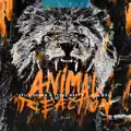 Animal Reaction (VIP Mix)