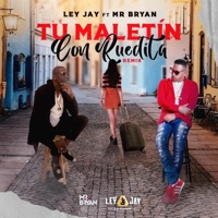 Tu Maletin Con Ruedita (feat. Mr Bryan) [Remix] - Single - LEY JAY