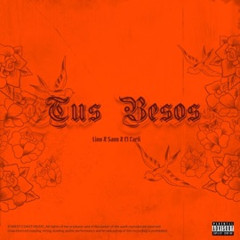 Tus Besos (feat. El Carli) Lioo Con el Sann