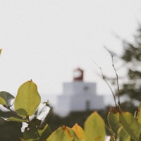 Blooming (feat. Ryan Walker) - Single - Aujin