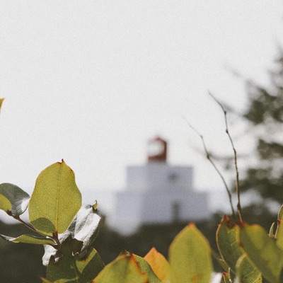 Blooming (feat. Ryan Walker) - Single