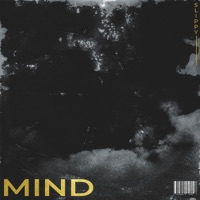 Mind (feat. Shannon Mora) - Single - Slippy