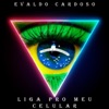 evaldo cardoso