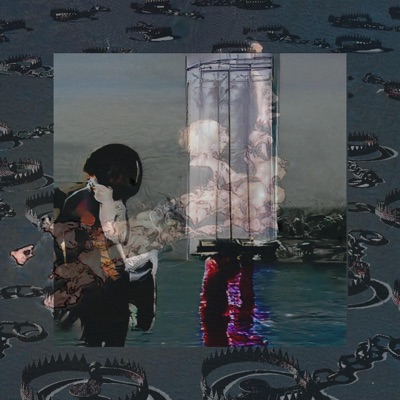 1000 Bear Traps - Single