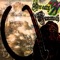 21666 / Beyond the Wall - Sweaty Mammoth lyrics