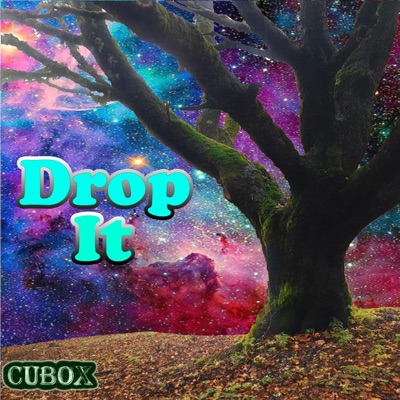 Drop It - Single