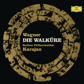 Wagner: Die Walküre artwork