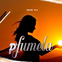 Pfumela - Single - DMS ZA