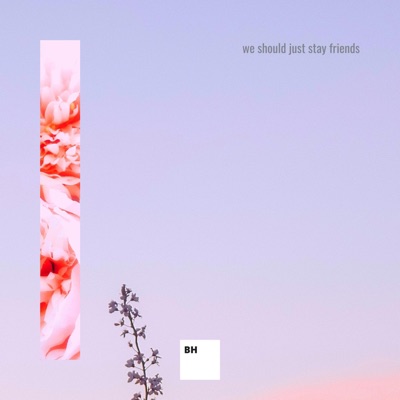 We Should Just Stay Friends - Single