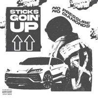 Goin' Up - Single - Sticks