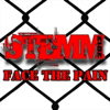 Face the Pain - Stemm new Single