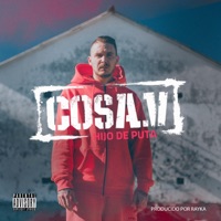 Hijo de Puta (feat. Rayka) - Single - Cosa.V