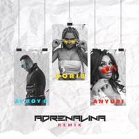 Adrenalina Remix (feat. Anyuri & EL BOY C) [Remix] - Single - Doris