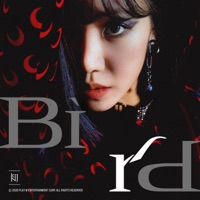 Bird - Single - Kim Namjoo