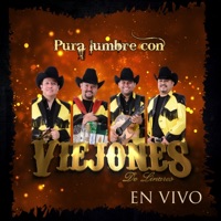 Pura Lumbre Con (En Vivo) - Los Viejones De Linares