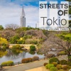 Streets of - Tokio, Vol. 3