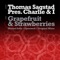 Grapefruit & Strawberries (Opuswerk Remix) - Thomas Sagstad & Charlie Thorstensen lyrics
