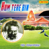 Raju Vijayvargiya - Hum Tere Bin artwork