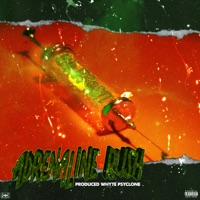 Adrenaline Rush - Single - Lil Frosti