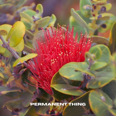 Permanent Thing - Single