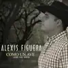 Como un ave