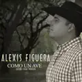 Como un ave