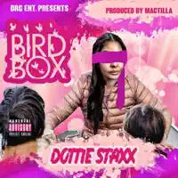 Bird Box — Dottie Staxx